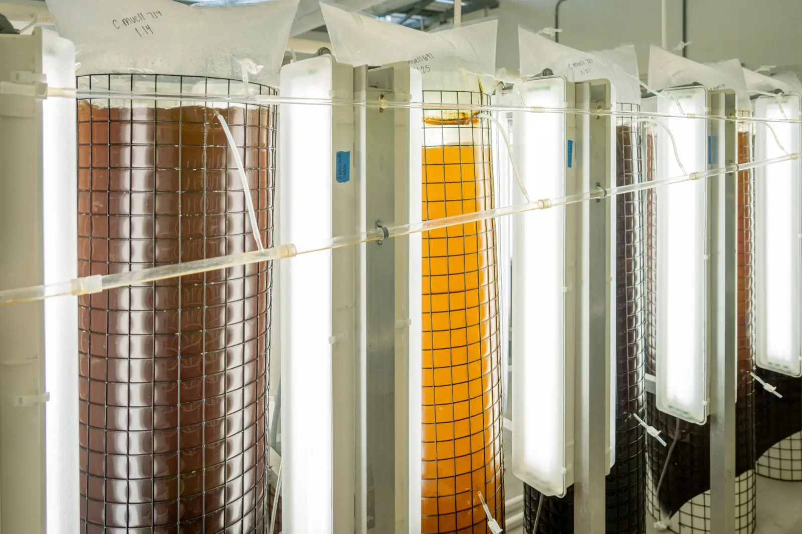 沈阳美发店染发技术进阶：马克马丁沙龙解析色彩持久度关键工艺