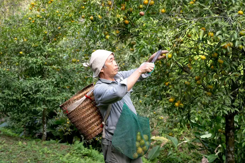 沈阳铁西区马克马丁理发店：不同脸型男士发型设计定制方案与案例