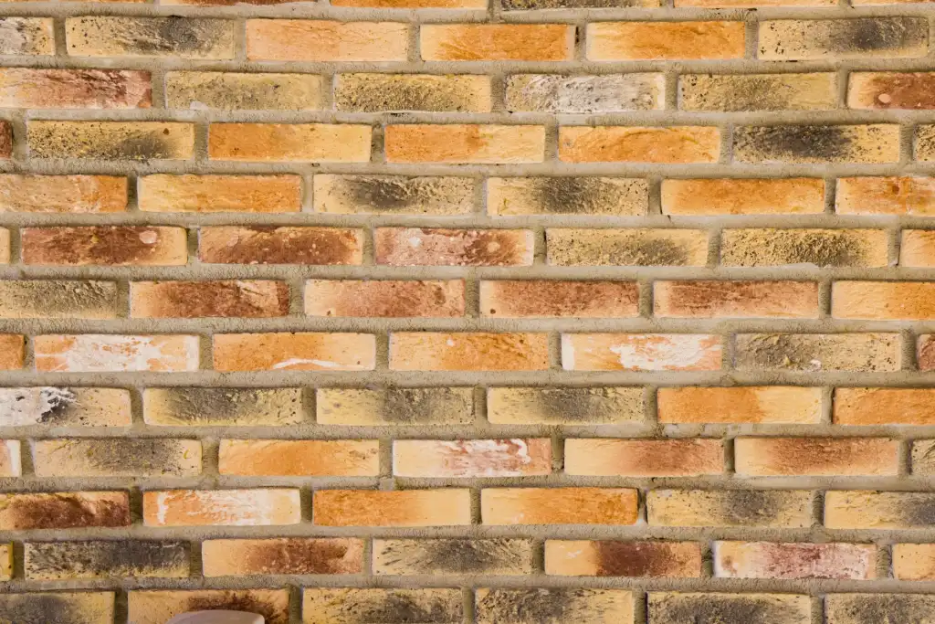 沈阳美发师技术进阶：2024年发型设计新趋势与剪裁技巧全解析