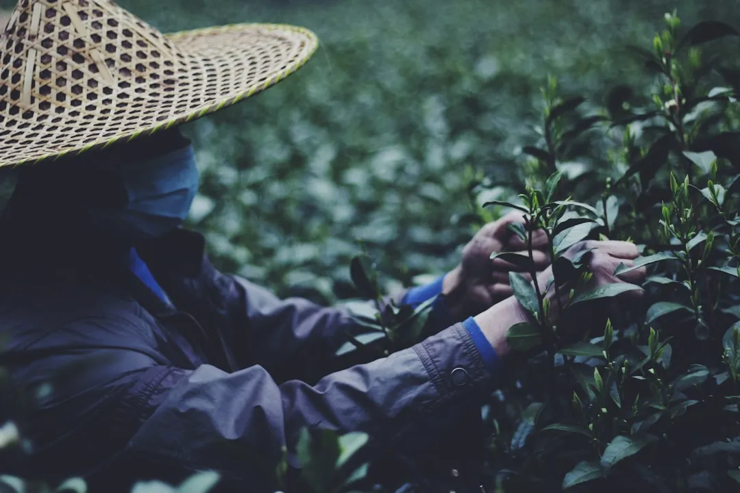 马克马丁美发沙龙：沈阳理发店个性化造型设计服务与流程说明